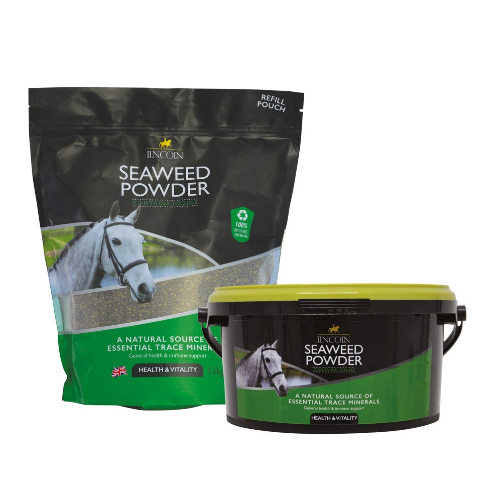Lincoln Seaweed Powder - Tub &amp; Pouch Bundle image 1